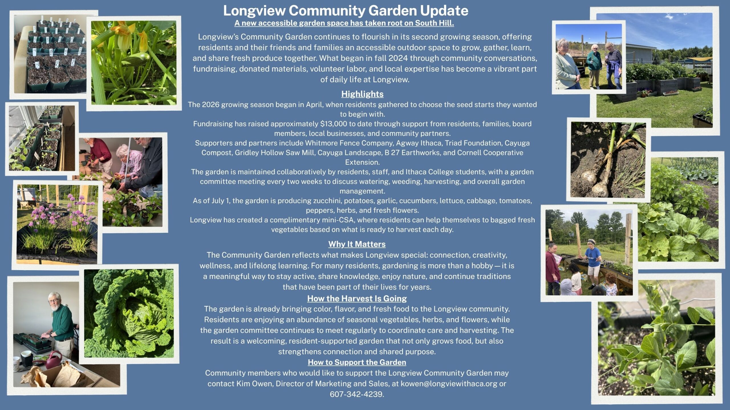 Longview Community Garden 4 (Website)