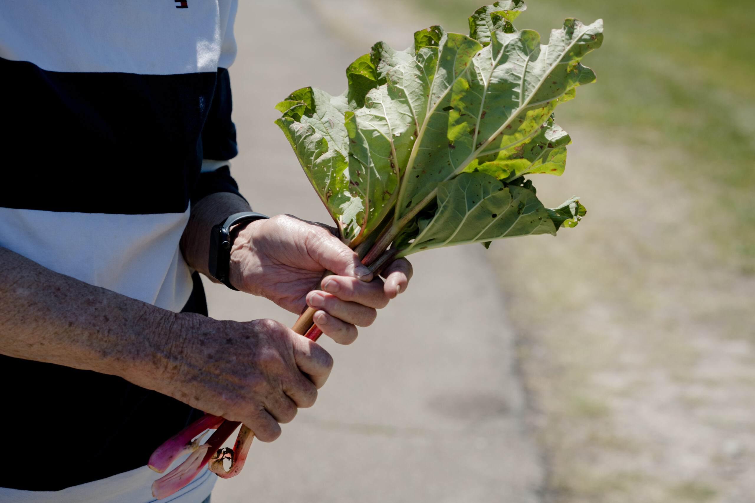 Longview2026-523